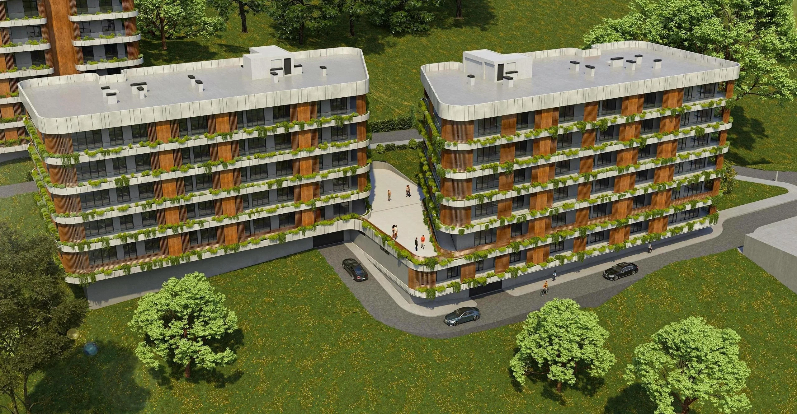 Archi Lisi Sunrise