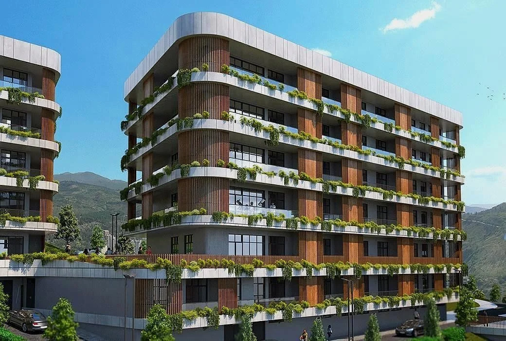 Archi Lisi Sunrise