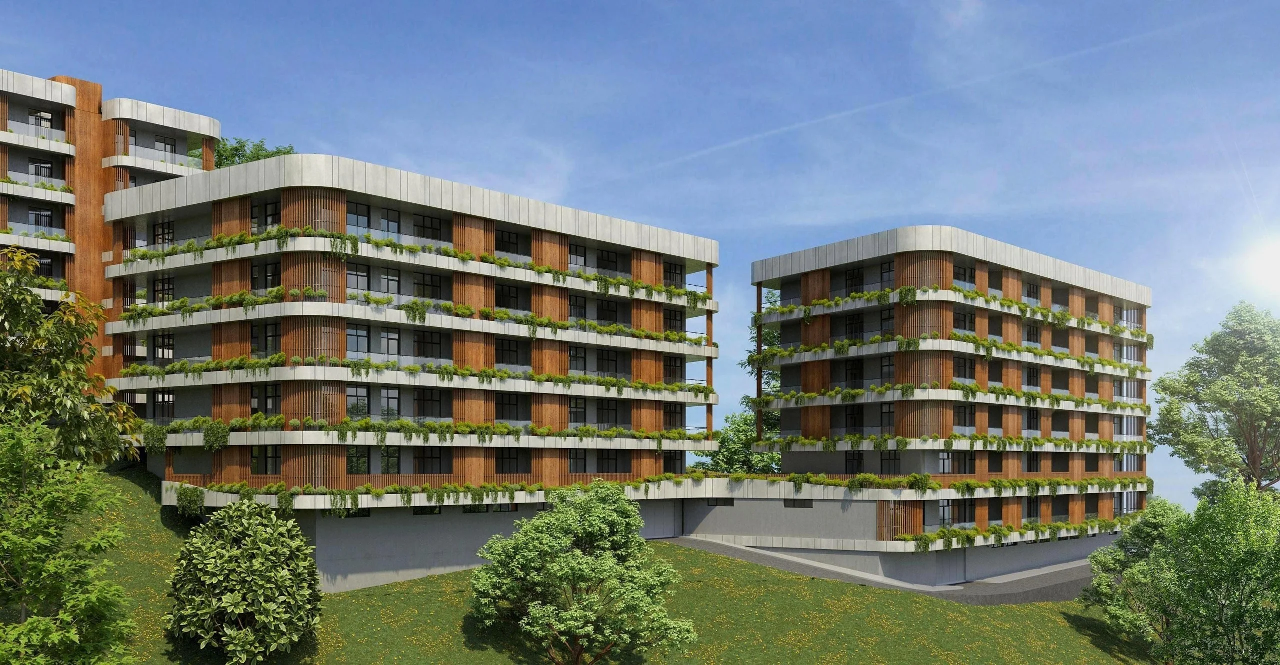 Archi Lisi Sunrise