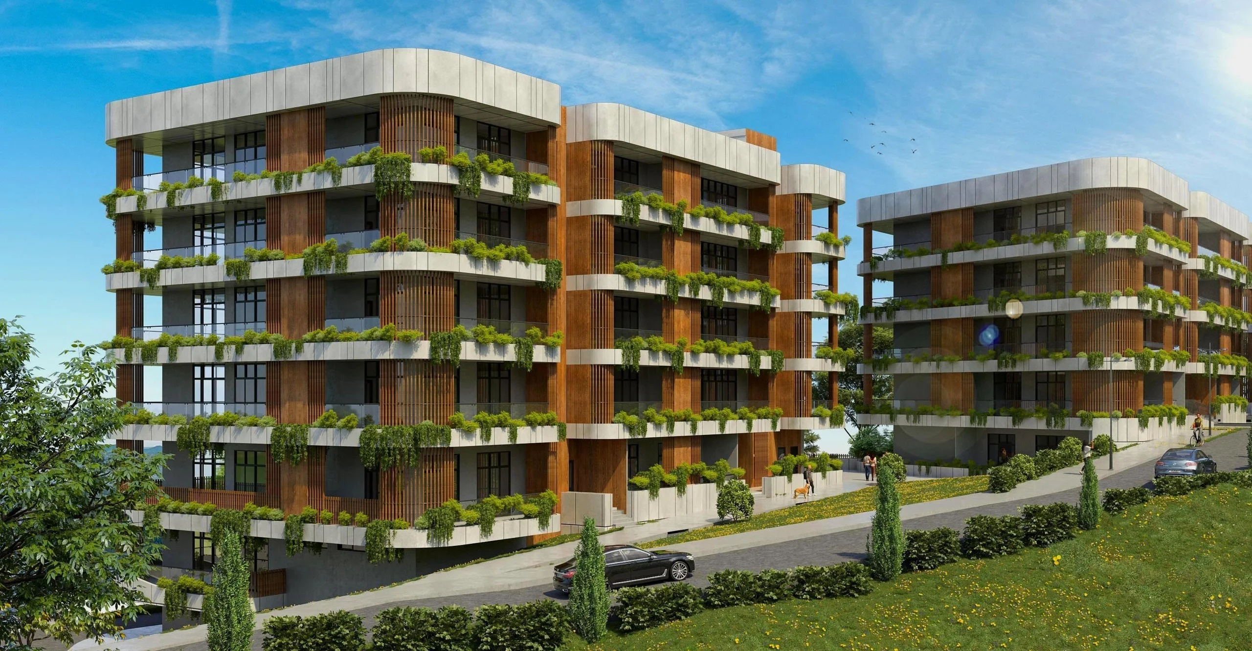Archi Lisi Sunrise