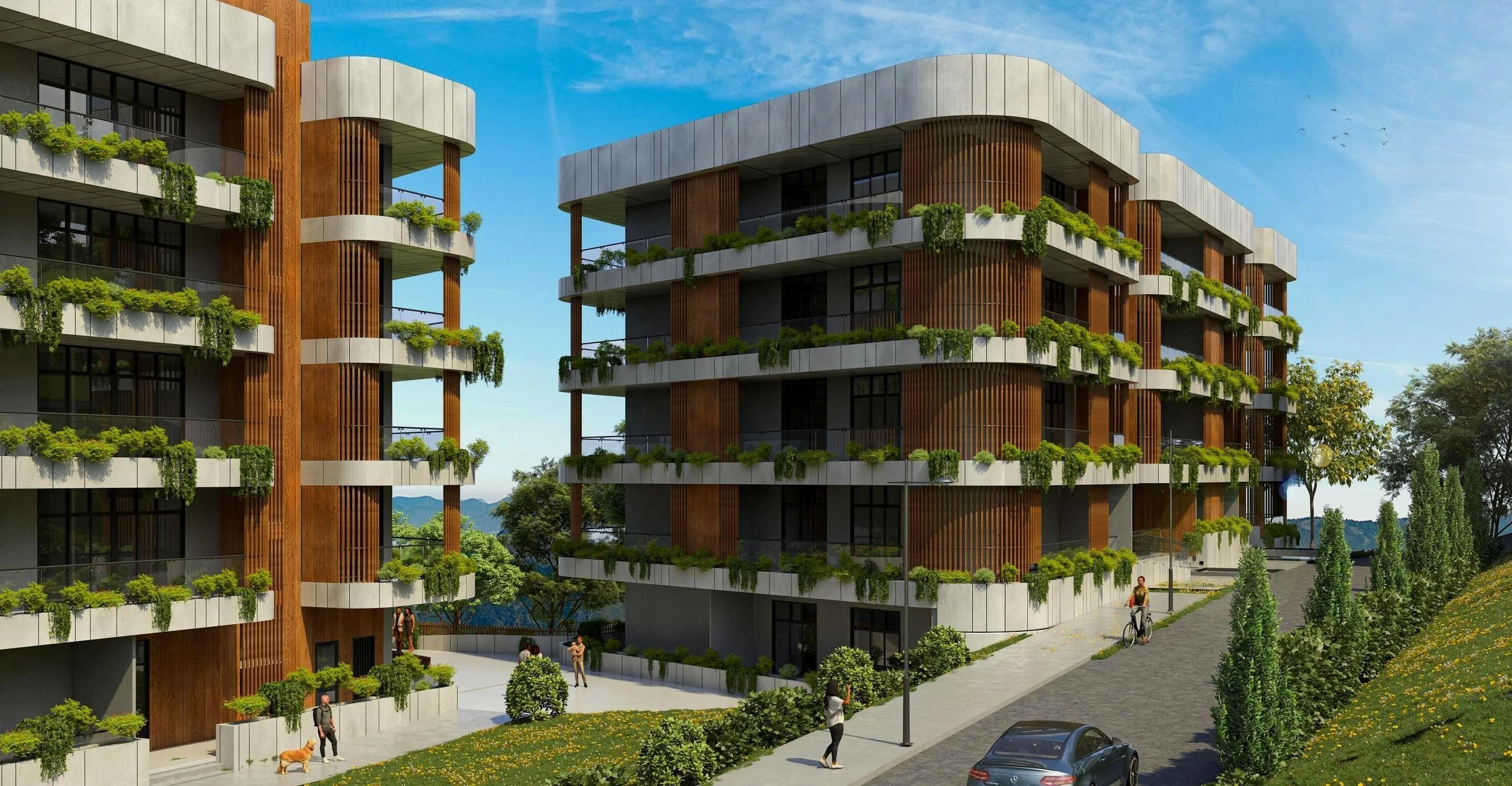Archi Lisi Sunrise