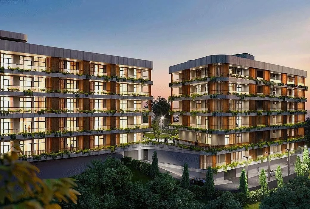 Archi Lisi Sunrise