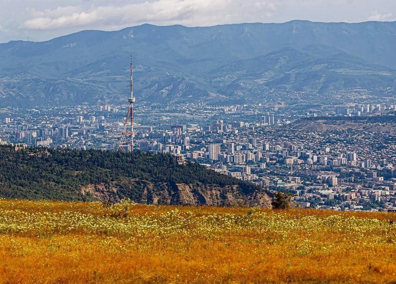2 ოთახიანი ბინა