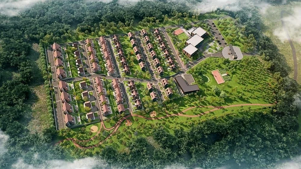 Vista Garden
